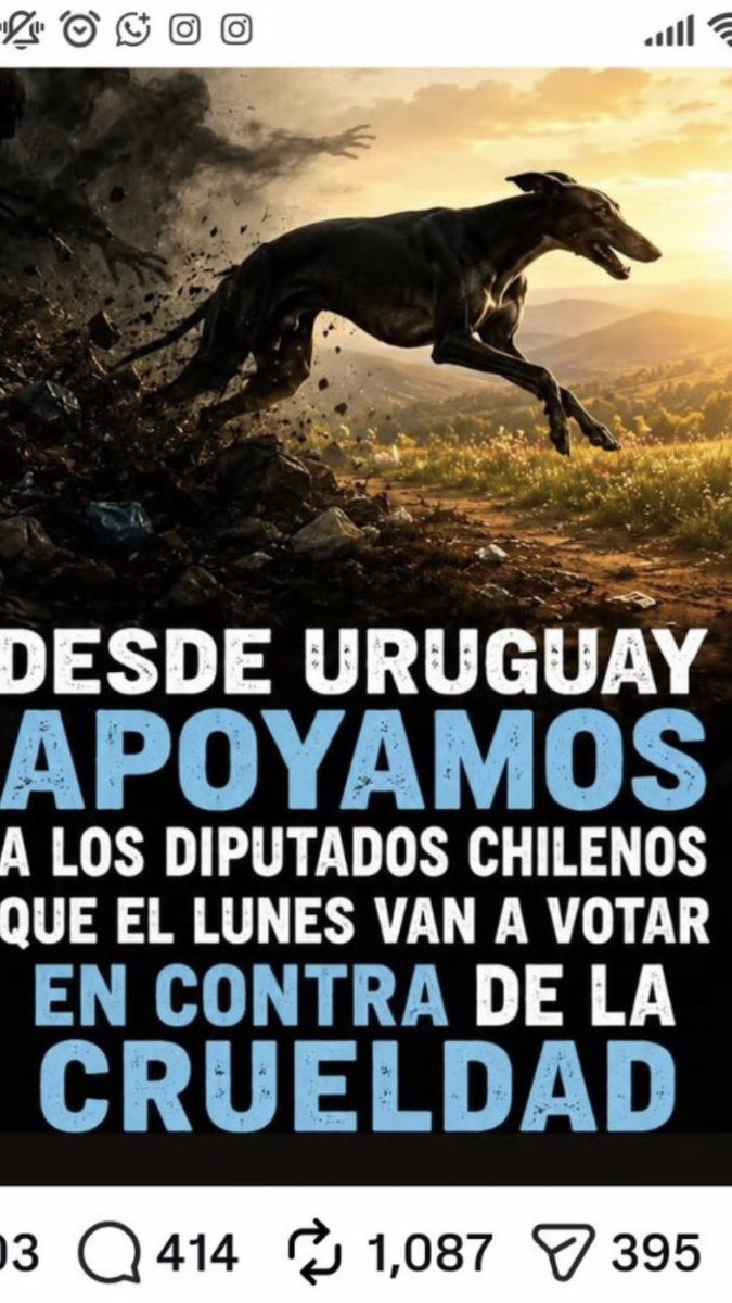 gloriabaettig's tweet photo. 🚨🚨🚨 @Camara_cl La Dignidad de un Pueblo se mide por sus Acciones por el Respeto de los Animales, gracias a los Países Hermanos por el Apoyo
#GalgosLibres 👇 https://t.co/h0ghEY14qi