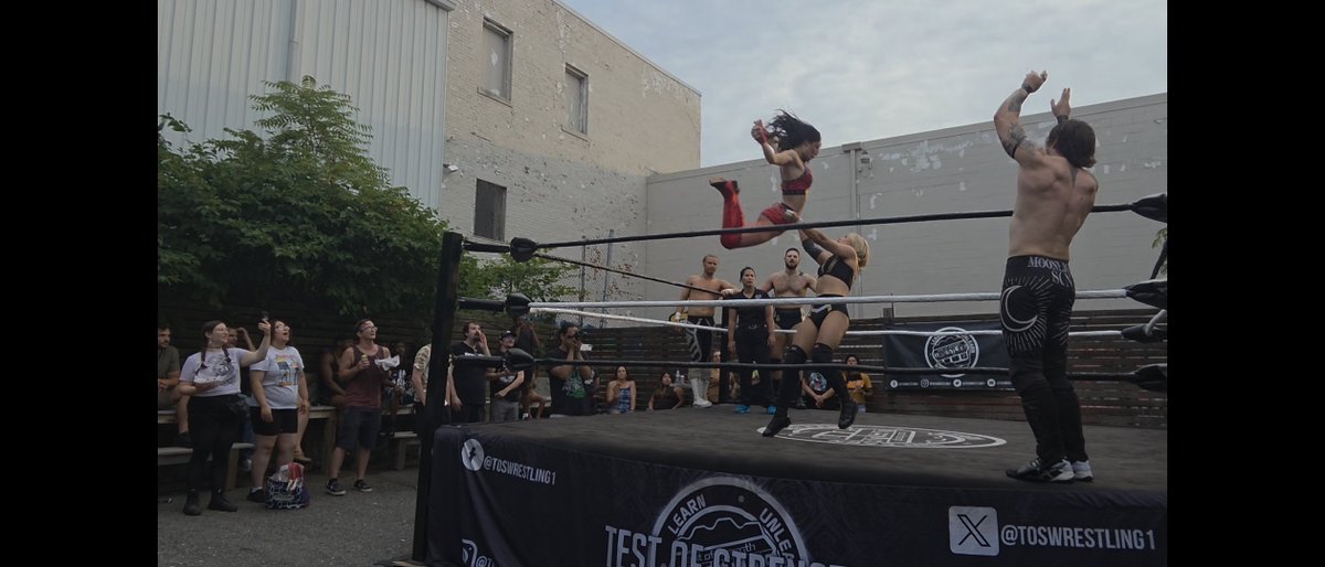 Cmalvado8's tweet photo. @toswrestling1 @nessa_ferrarii https://t.co/bU15iWSE5r