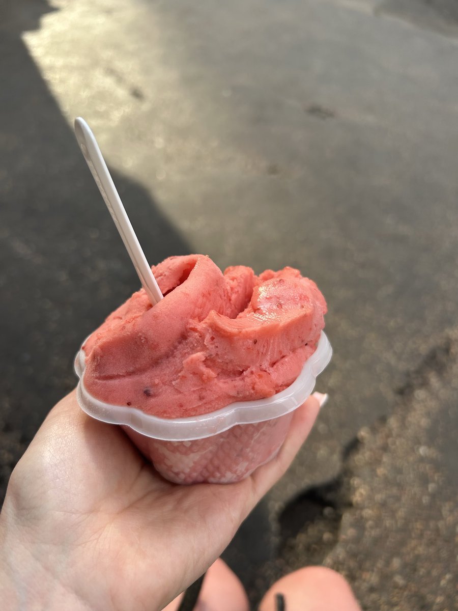 evelinef4e's tweet photo. how many calories would you guys estimate? it’s a two scoop strawberry sorbet from an italian gelato place ! https://t.co/A6y4FmxoYm