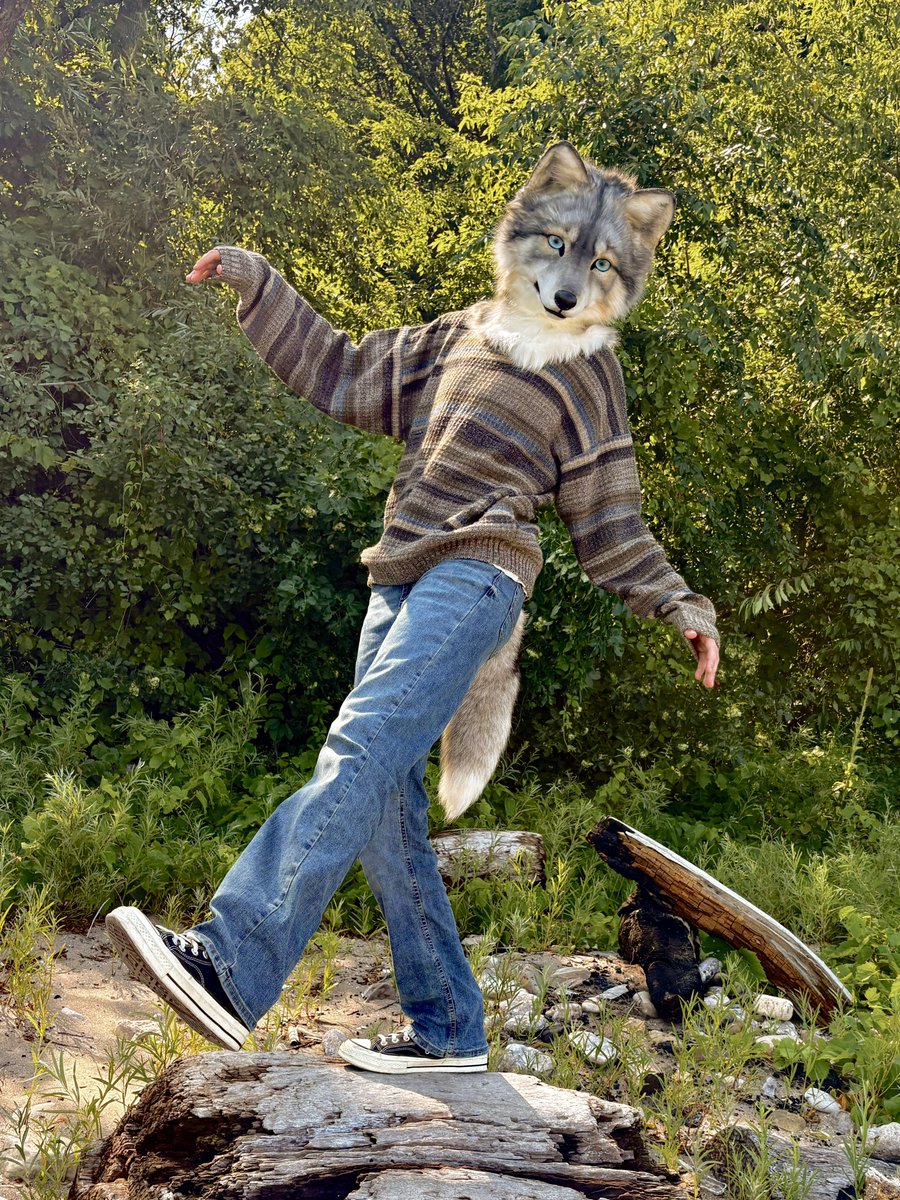 crowflightcat's tweet photo. 🕺 https://t.co/MLAQMOl80F
