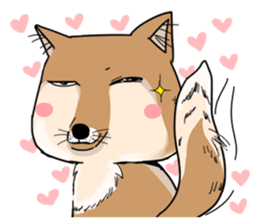 wamo fox tweet media