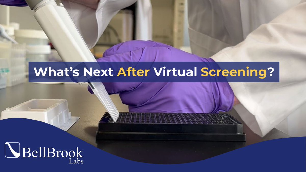 BellBrookLabs's tweet photo. Virtual screening is a powerful approach in small-molecule drug discovery. But identifying a hit is just the start. Move beyond predictions with biochemical validation. Watch this video as we see the critical steps for confirming virtual screening hits: https://t.co/w9EYyqOKmv https://t.co/cFG6Pjtg9o