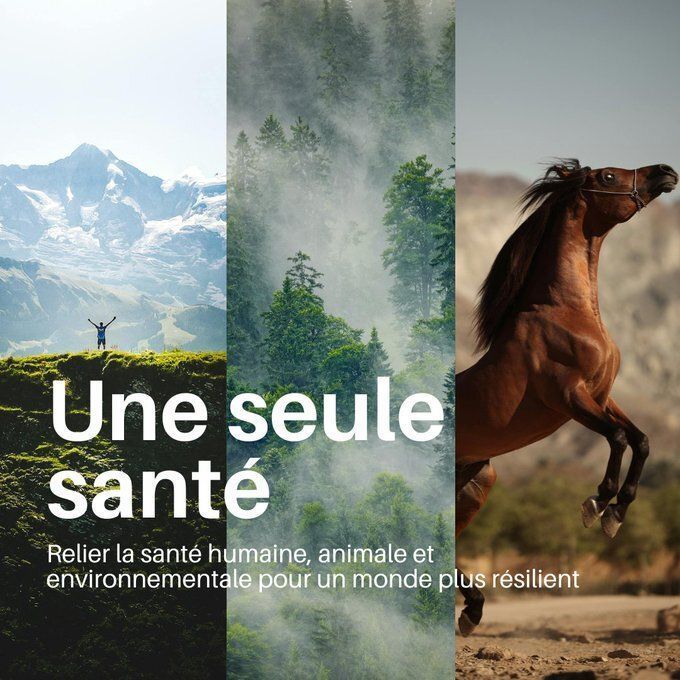ONUGeneve's tweet photo. Santé humaine, animale et environnementale : indissociables.

Du climat à la résistance aux antimicrobiens, ce qui nuit à la nature nous nuit aussi.

Soutenons l’approche #UneSeuleSanté pour des populations et une planète en meilleure santé. #PourLaPlanète https://t.co/4GsjyFySst