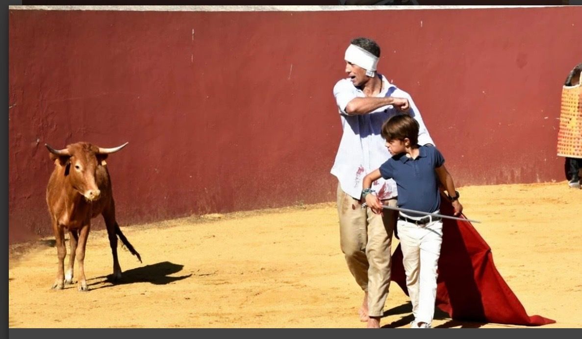 burladerotv's tweet photo. 𝗔𝗖𝗧𝗨𝗔𝗟𝗜𝗗𝗔𝗗 || Manuel Escribano se recupera en el campo bravo tras la cogida sufrida en Huelva 

👉️ https://t.co/ywMQhZjuT3 https://t.co/Ur50CTOzci