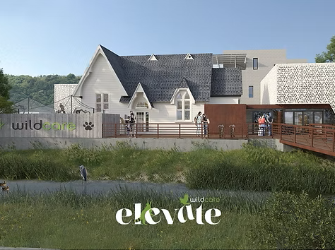SFgiving's tweet photo. Join WildCare on Aug 29 at China Camp State Park or choose your own trail as we take the final steps toward completing our $24 million Elevate WildCare campaign to build a new wildlife hospital and nature education center. 

https://t.co/LHJ6BnIywn https://t.co/gI8K35fENp