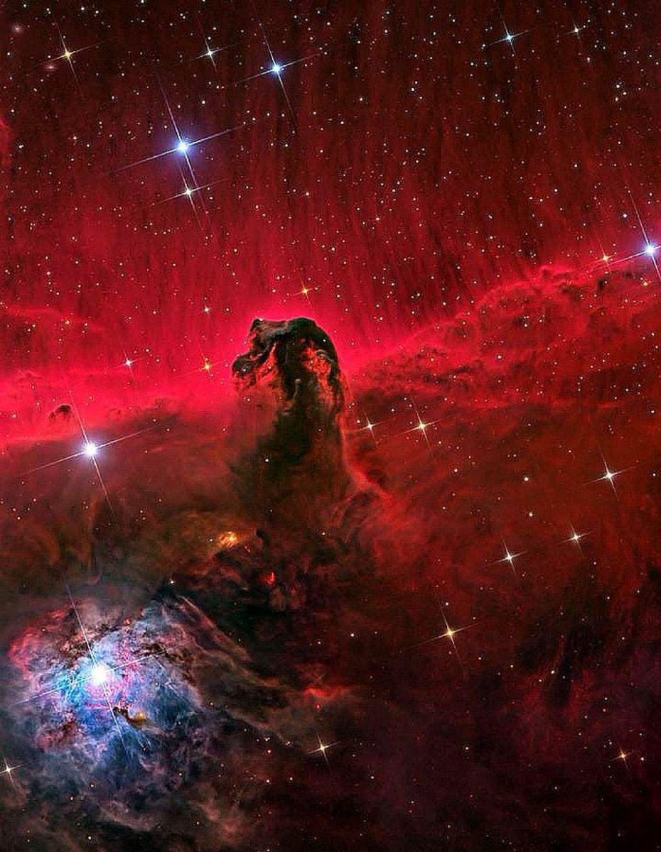 NightSkyToday's tweet photo. Tracking the Silhouette of Orion's Famous Horsehead Nebula.😍 https://t.co/OFEKnACIUY