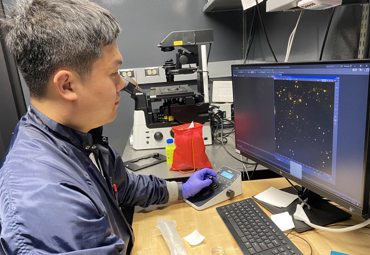 JunckerLab's tweet photo. Visualizing our microfluidic devices and assays for the workshop is no problem thanks to our high-resolution microscope systems from @NikonCanada! We're very grateful for their continued support and for enabling our live demonstrations in front of all our workshop participants! https://t.co/yU5KKkU5UD