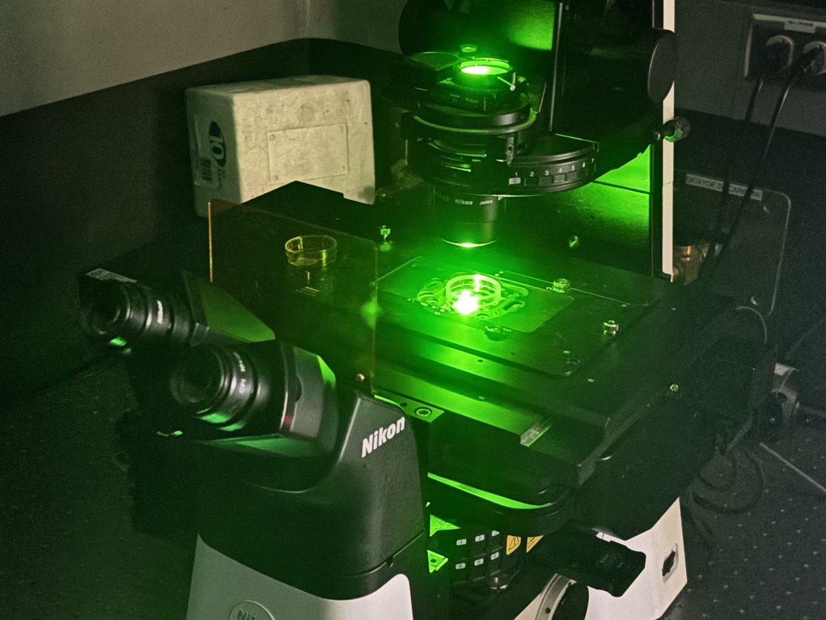 JunckerLab's tweet photo. Visualizing our microfluidic devices and assays for the workshop is no problem thanks to our high-resolution microscope systems from @NikonCanada! We're very grateful for their continued support and for enabling our live demonstrations in front of all our workshop participants! https://t.co/yU5KKkU5UD
