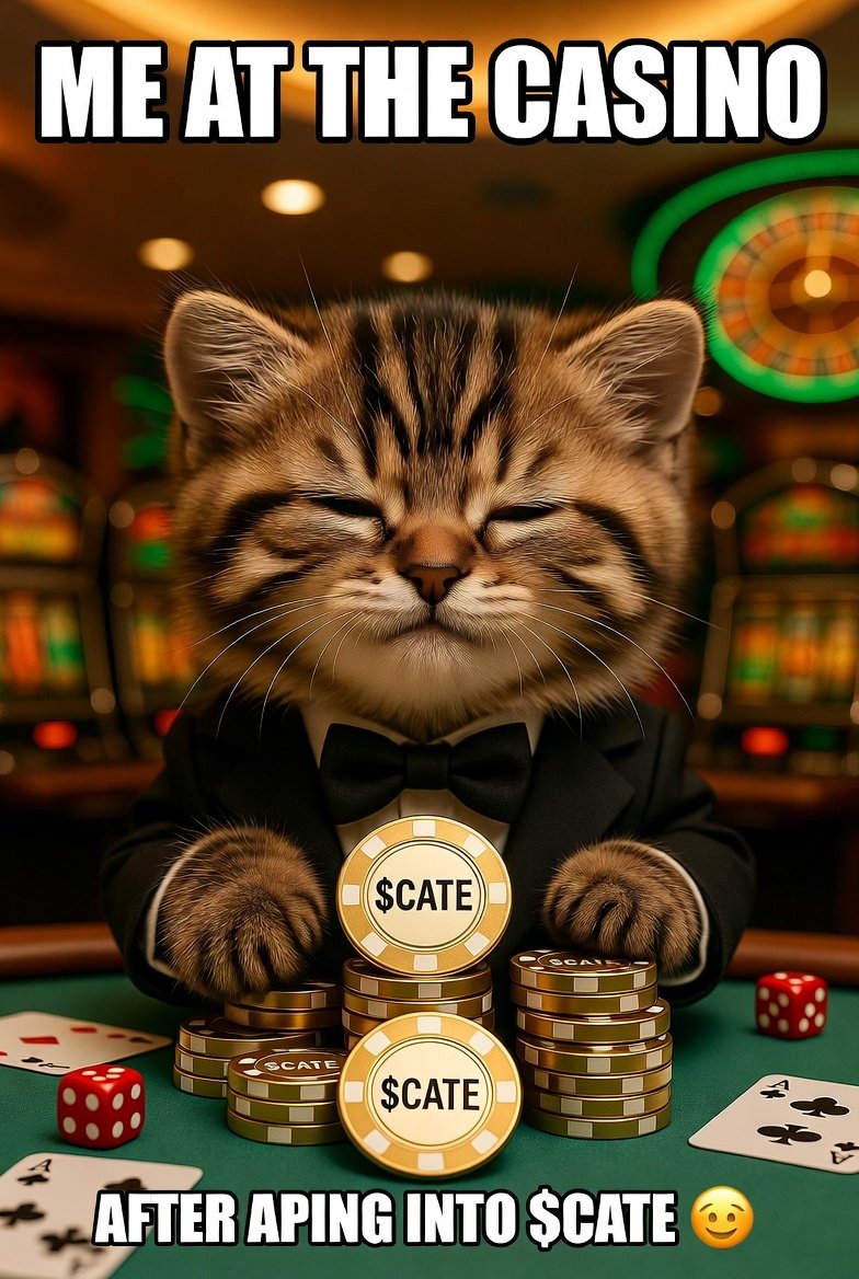 JesmonFX's tweet photo. @daremarket @PoorGoat_ Balls on the table.
@PoorGoat_ @thecatecoinSOL https://t.co/VhiC0gOVpC