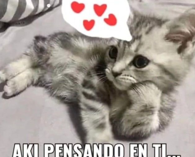 kakatuns's tweet photo. Buenos días https://t.co/MBPtLBNQIL
