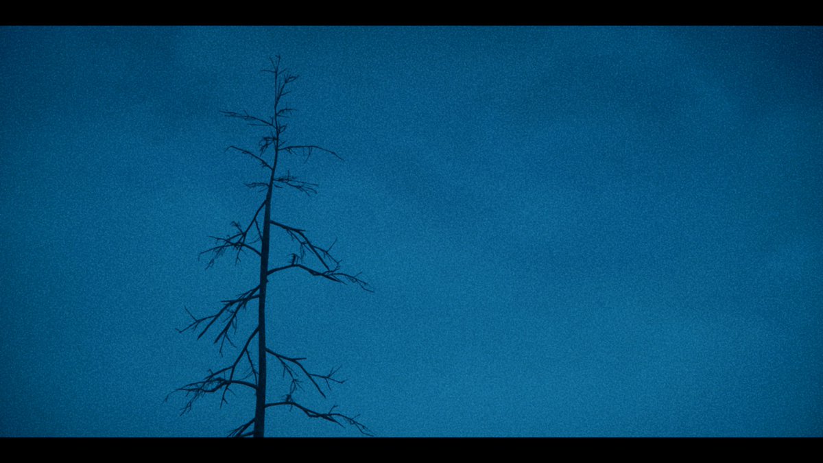 Mateiito117's tweet photo. 𝐀𝐥𝐚𝐧 𝐖𝐚𝐤𝐞 𝐈𝐈
#VirtualPhotography https://t.co/jC13kYRCpE