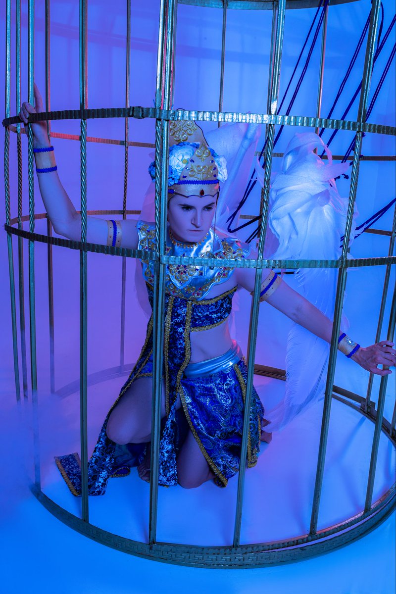 1keicos's tweet photo. This is a Sterlitzia - a bird of Paradise. They can be found only on one small island in the distant South.

Photo - @Shinori_live 
Shibari - @kyzzenish 
Help - @Doorts1 &amp; Sab_yo

#thepetshopofhorrors #sterlizia #pchan #cosplay #cosplayer https://t.co/EArs4SIFht