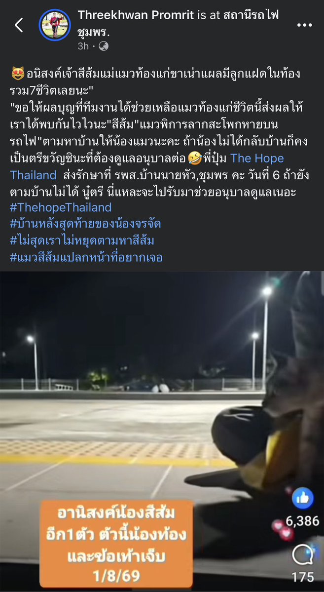 KhaohomSiri's tweet photo. น้องสีส้มลูก ตอนนี้หนูช่วยชีวิตเพื่อนๆแมวมา15ชีวิตแล้ว(+7ตัวในท้อง)ก็จะรวม22ตัวแล้ว ถึงตาหนูออกมาแล้วนะ ทุกคนรออยู่

#แมวหายบนรถไฟ #ส้มส้ม https://t.co/CpJGC9Tckt