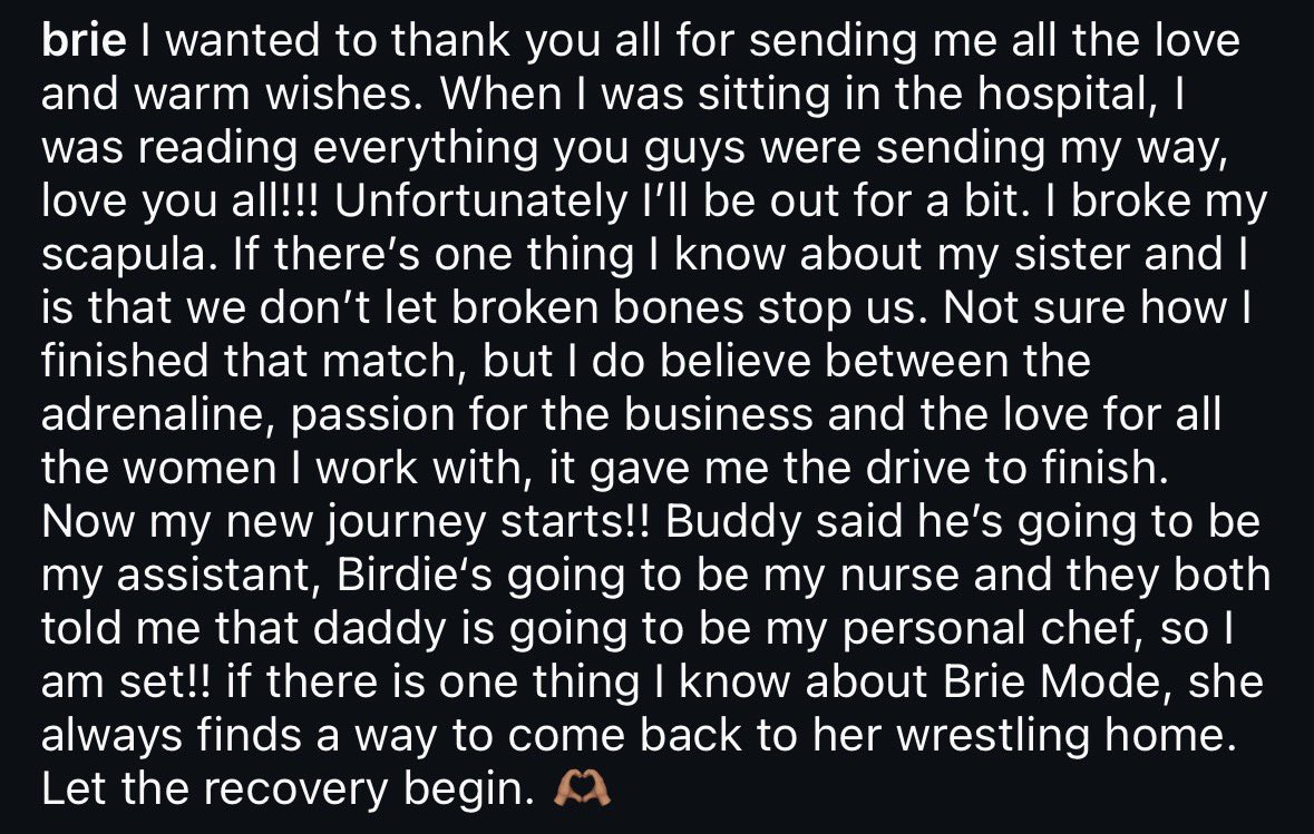 FalseFinishHQ's tweet photo. Brie Bella announced on Instagram that she broke her scapula during the 6 Woman Tag at SummerSlam. We are wishing her a speedy and healthy recovery https://t.co/TTR7k7jBbe
