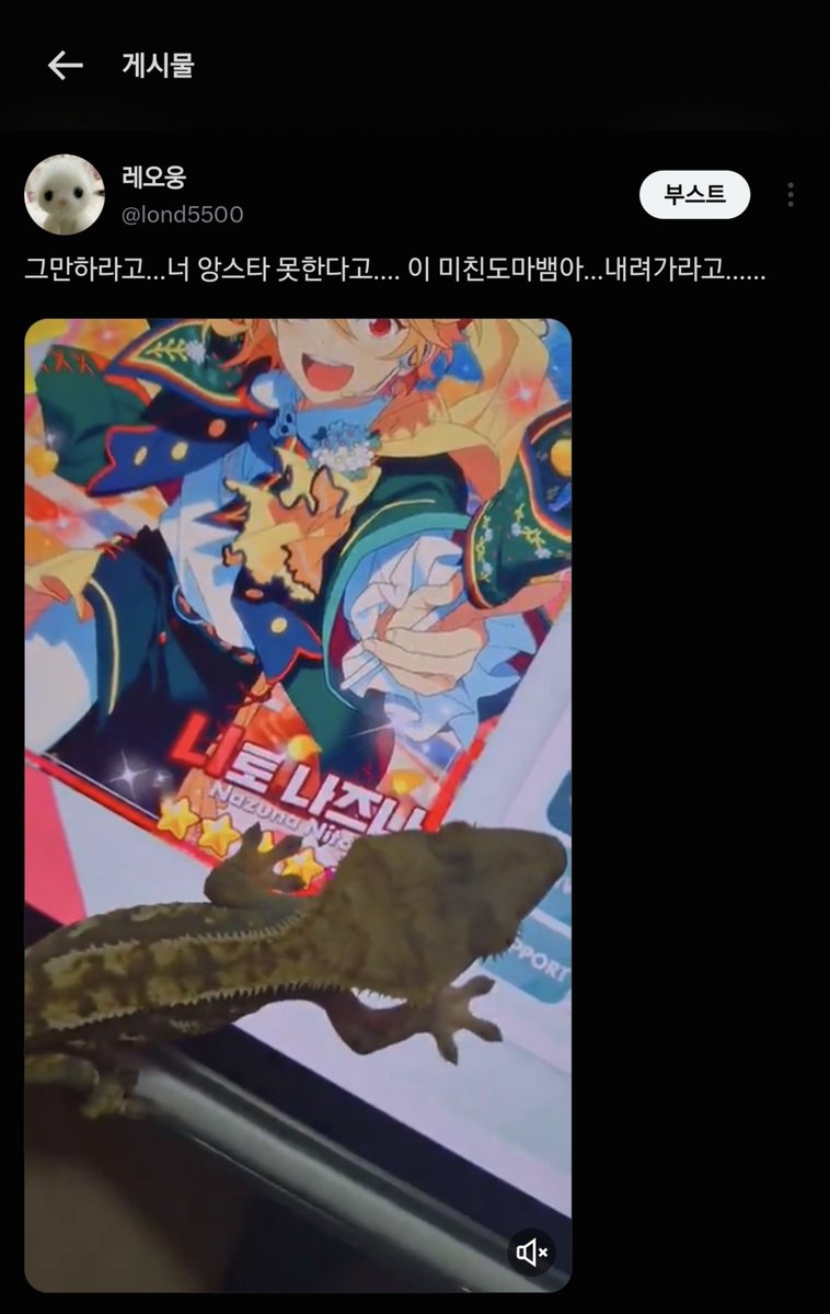 lond5500's tweet photo. #앙스타𝕏친소 #앙스타_𝕏친소
저히집 도마뱀한테 계정 뺏긴 기념으로 트친소 열겠습니다 ㅎ
지금 도마뱀이 앙서타 니쨩 카드 누르는 영상이 알티를 타고 있어요.....(›´-`‹ )

마음맞을것 같은 분들께 팔로우 걸겟슨니다 ㅎㅎ
부동의 최애는 미친사자오렝지 담당하고 계시는 츸나레 입니다 🫶 https://t.co/17OXhnqIcy