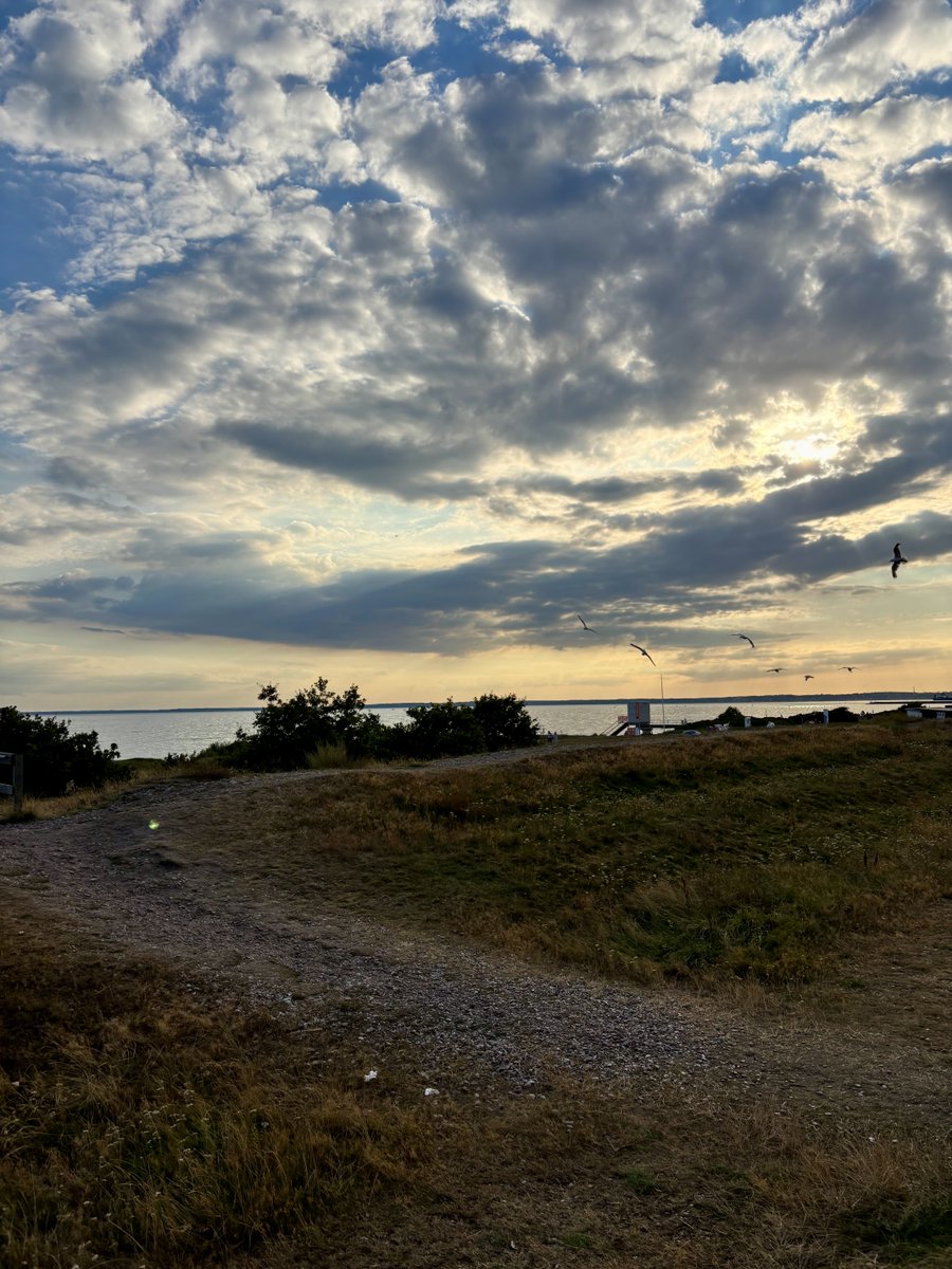Glennsarn's tweet photo. Bistråå…magisk kväll. 🙏😘👍🏻🍺 https://t.co/Lg5pVMWTHH