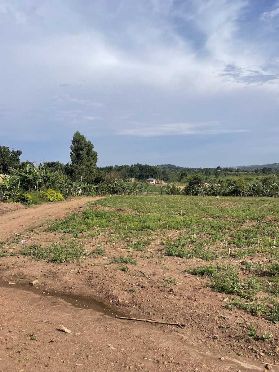 bruno_akampa's tweet photo. Plots of Land for Sale in different areas.

• Kakiri - 15M
• Busiika - 18M
• Kiwenda - 28M
• Nakasajja - 30M
• Ziru - 45M
• Lutaba - 45M
• Kijabijo - 50M
• Nakwero- 70M
• Sisa -55M
• Nsasa -80M
• Nabusugwe -75M

All are titled &amp; size 50x100ft.

📞 0704408763/0773091011 https://t.co/vyQG36aliW
