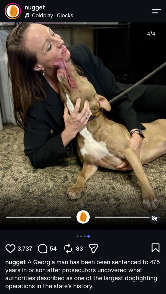ClassyKatie's tweet photo. I hope someone ties him to a pole in prison with a logging chain and leaves him to starve while being bred by someone named Bubba. https://t.co/gi4gEoUAao