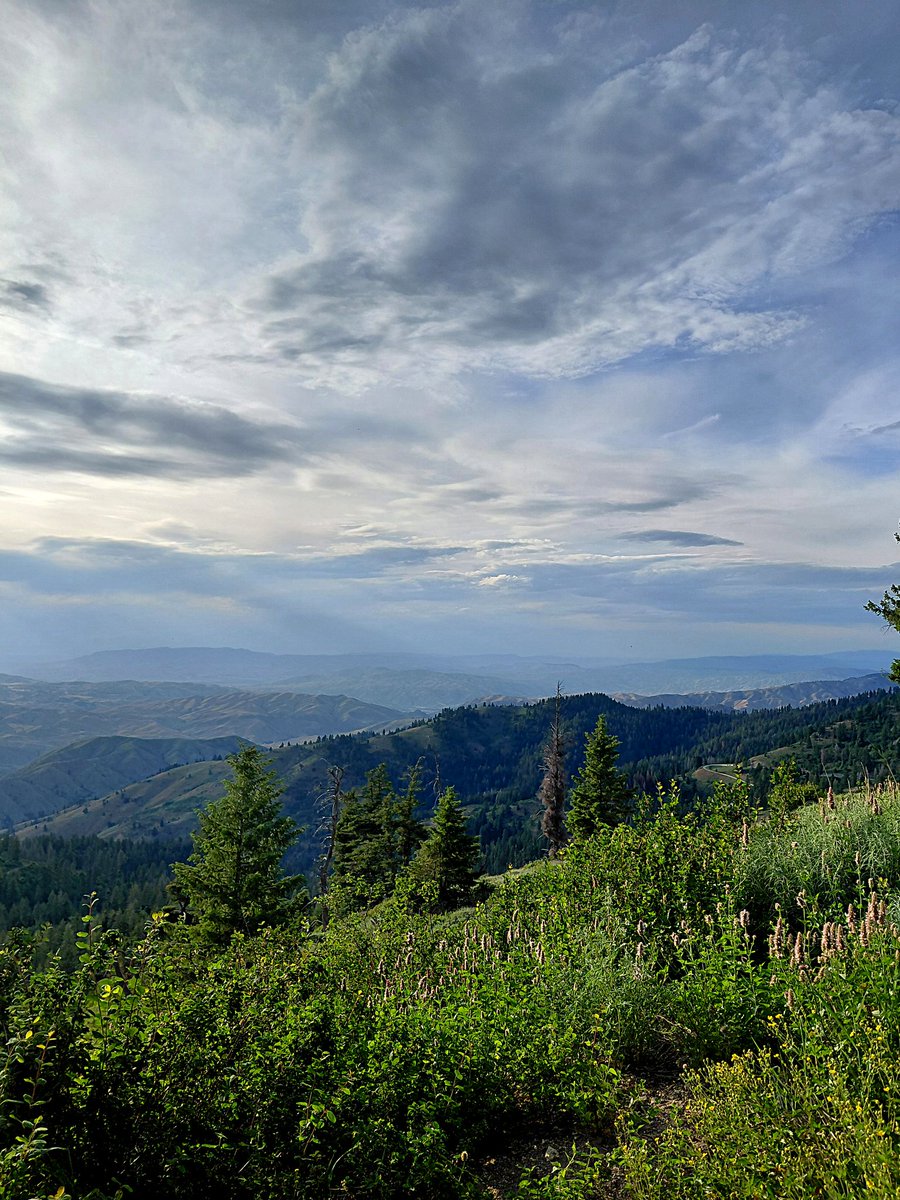 7lostinthewoods's tweet photo. a therapeutic view https://t.co/ny32EDVafE