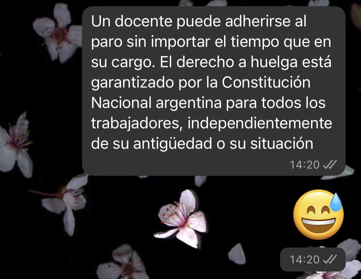 agusadell's tweet photo. Le tuve que explicar a una compañera de la facultad esto y me da hasta vergüenza https://t.co/qruFwl5dX4
