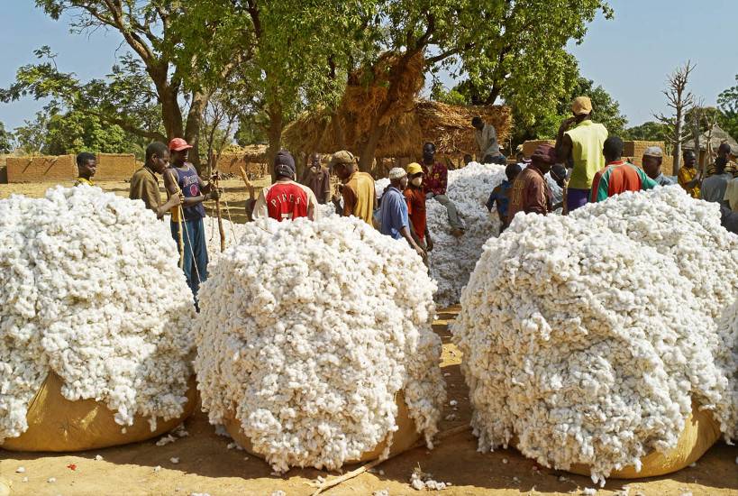 nandi_info's tweet photo. Transformation du coton : Une usine de 40 000 tonnes pour accélérer l’industrialisation du Mali
https://t.co/BGE4glpVXY https://t.co/T2HS1j4a4g