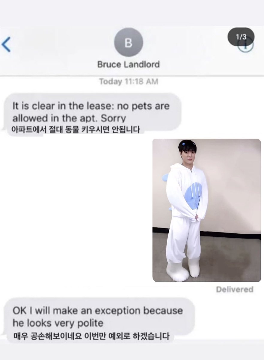 dotorisnana's tweet photo. https://t.co/pookKiTWtC