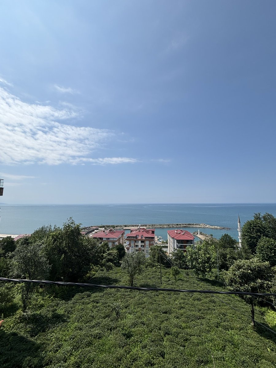 Sule_arch's tweet photo. Rize’ye geldim günlerdir hava ya bulutlu ya da yağmurluydu. Bugün sonunda güneş açtı, gözler yaşlı mavi gökyüzünü seyrediyorum… https://t.co/tVpbDS70L7