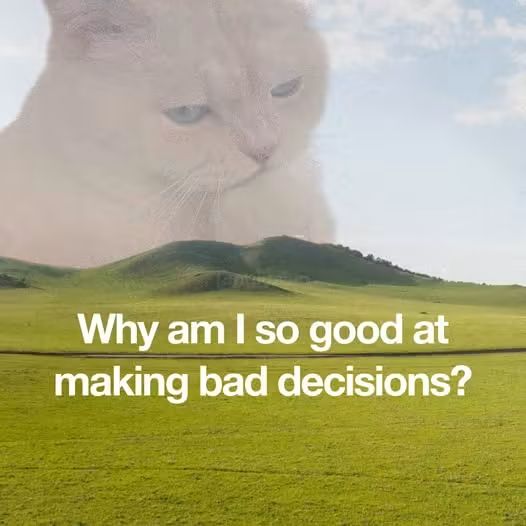 WholesomeMeme's tweet photo. https://t.co/ms7YYLBgHd