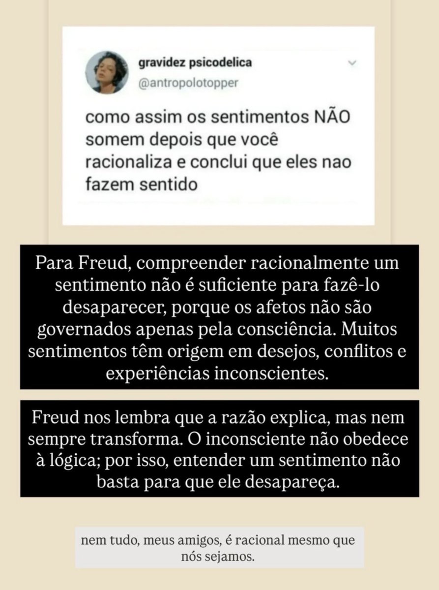 BiaArantes's tweet photo. boa tarde https://t.co/xoe6R1in1E