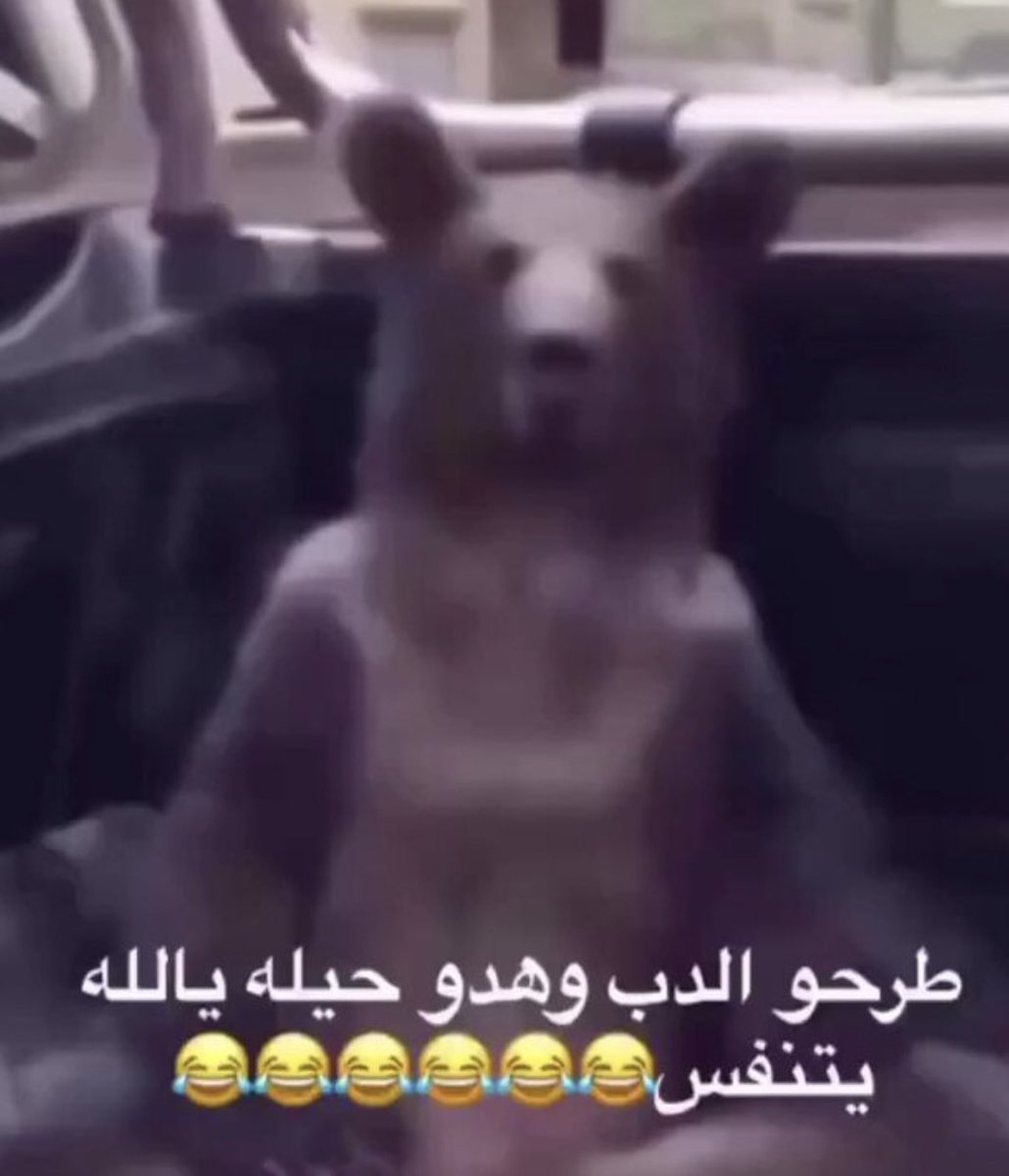 liroaav's tweet photo. من بدت اجازتي وأنا كل يوم برا ما جلست بالبيت حرفيًا: https://t.co/D1i15aagcL