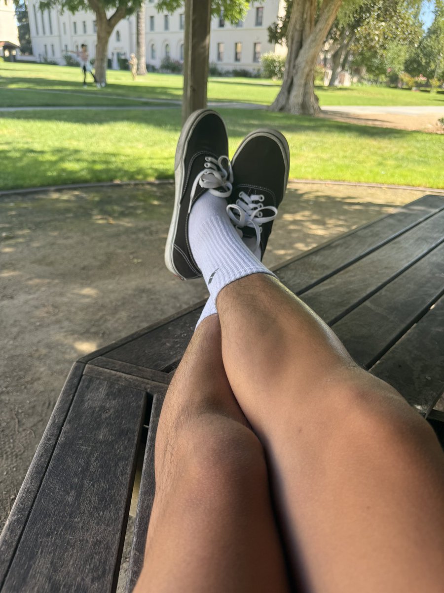 GoodDudeJ's tweet photo. It’s a beautiful day to sit out in the garden https://t.co/8r9Ttlwv9t