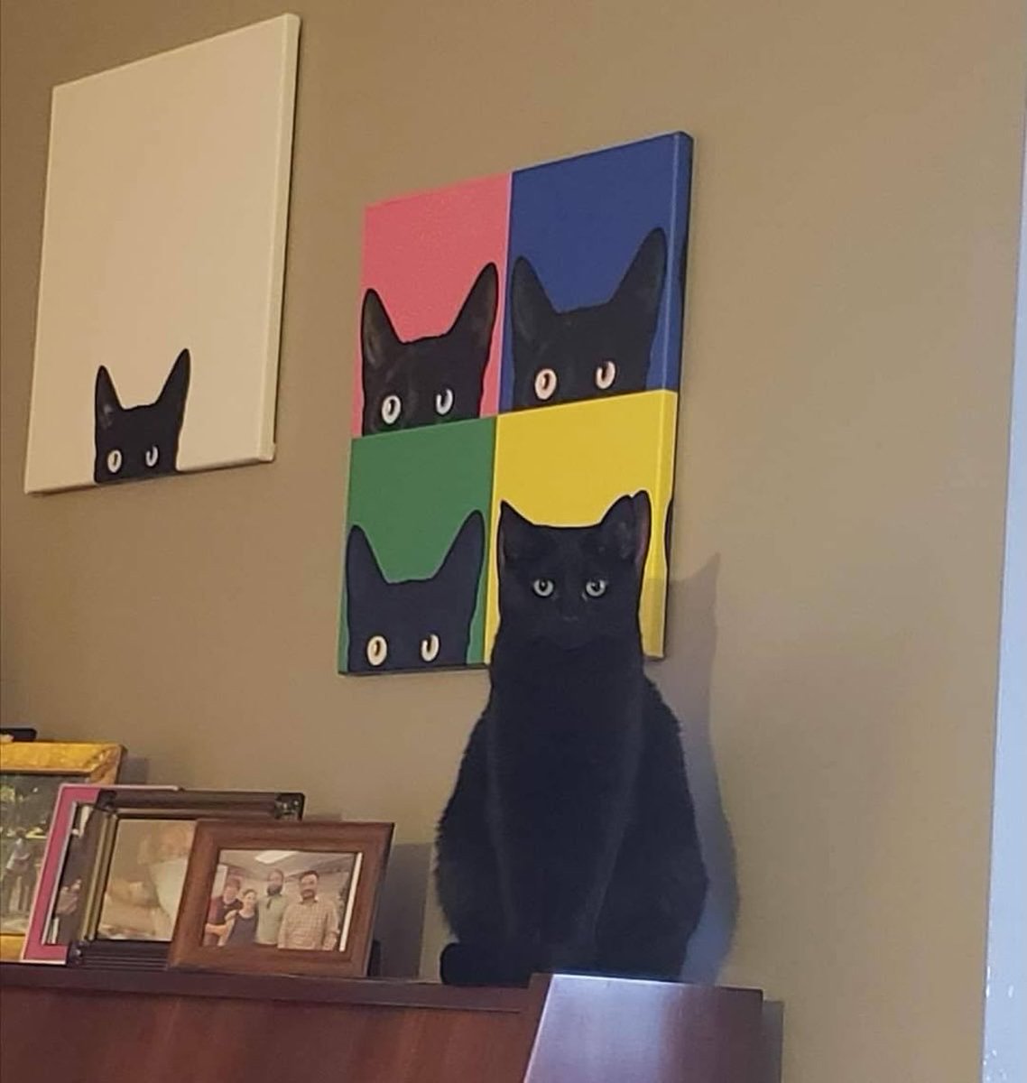 BestOfMeow's tweet photo. https://t.co/SkAesMCVtk