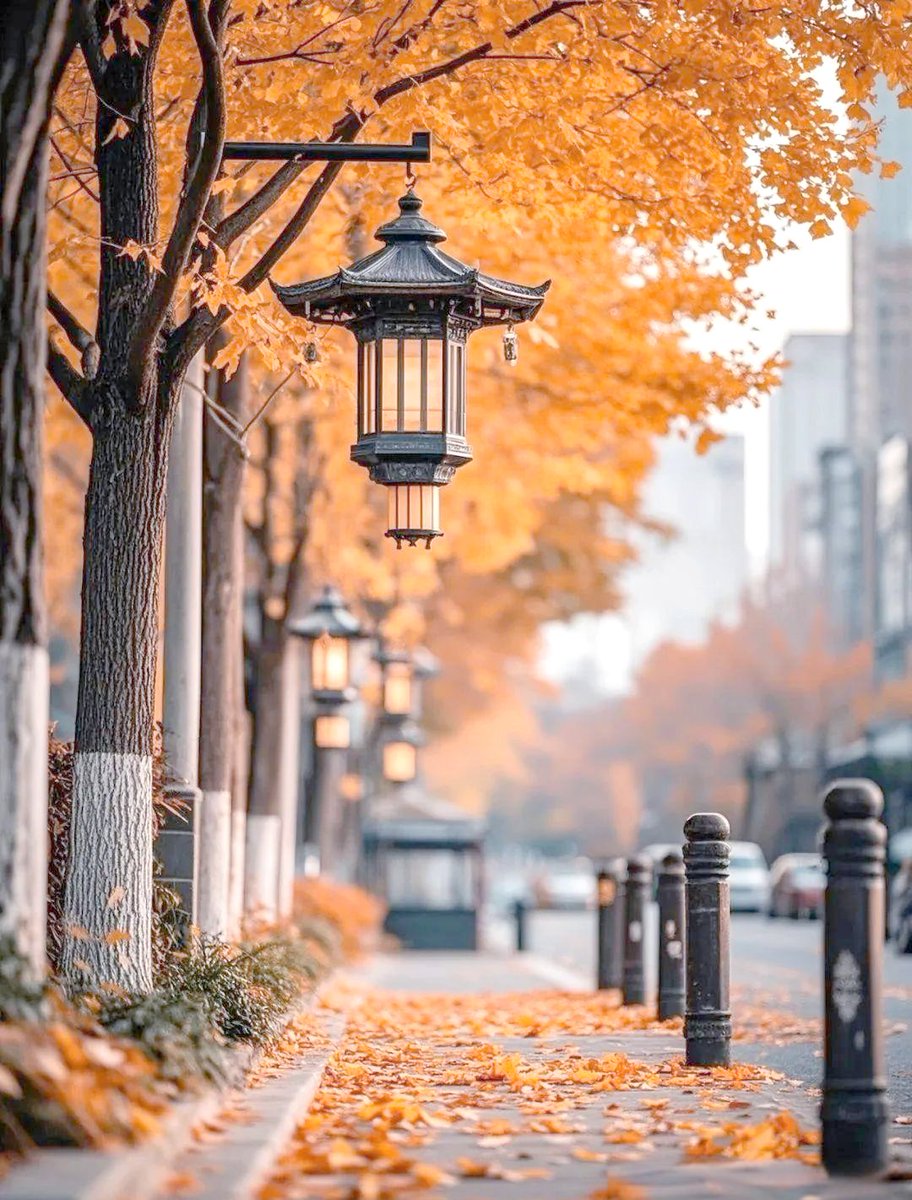 CHIKMAGENIT's tweet photo. Just got caught in a sudden autumn rain—crisp air, golden maple leaves sticking to my umbrella, nothing beats this cozy vibe! ， https://t.co/uh1TtK1gRk