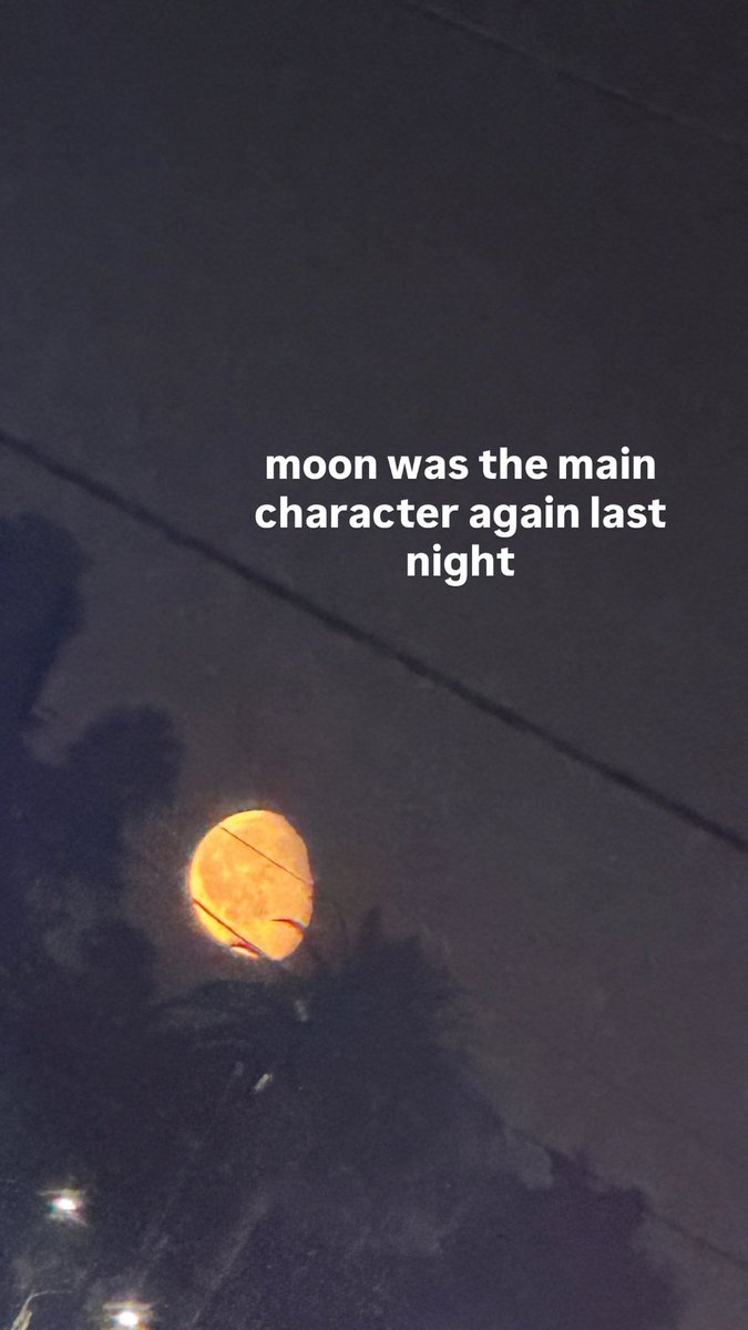 melchdates tweet picture