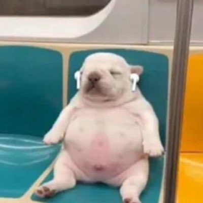 7ev1l's tweet photo. #NovaFotoDePerfil https://t.co/e1m41LbqNx