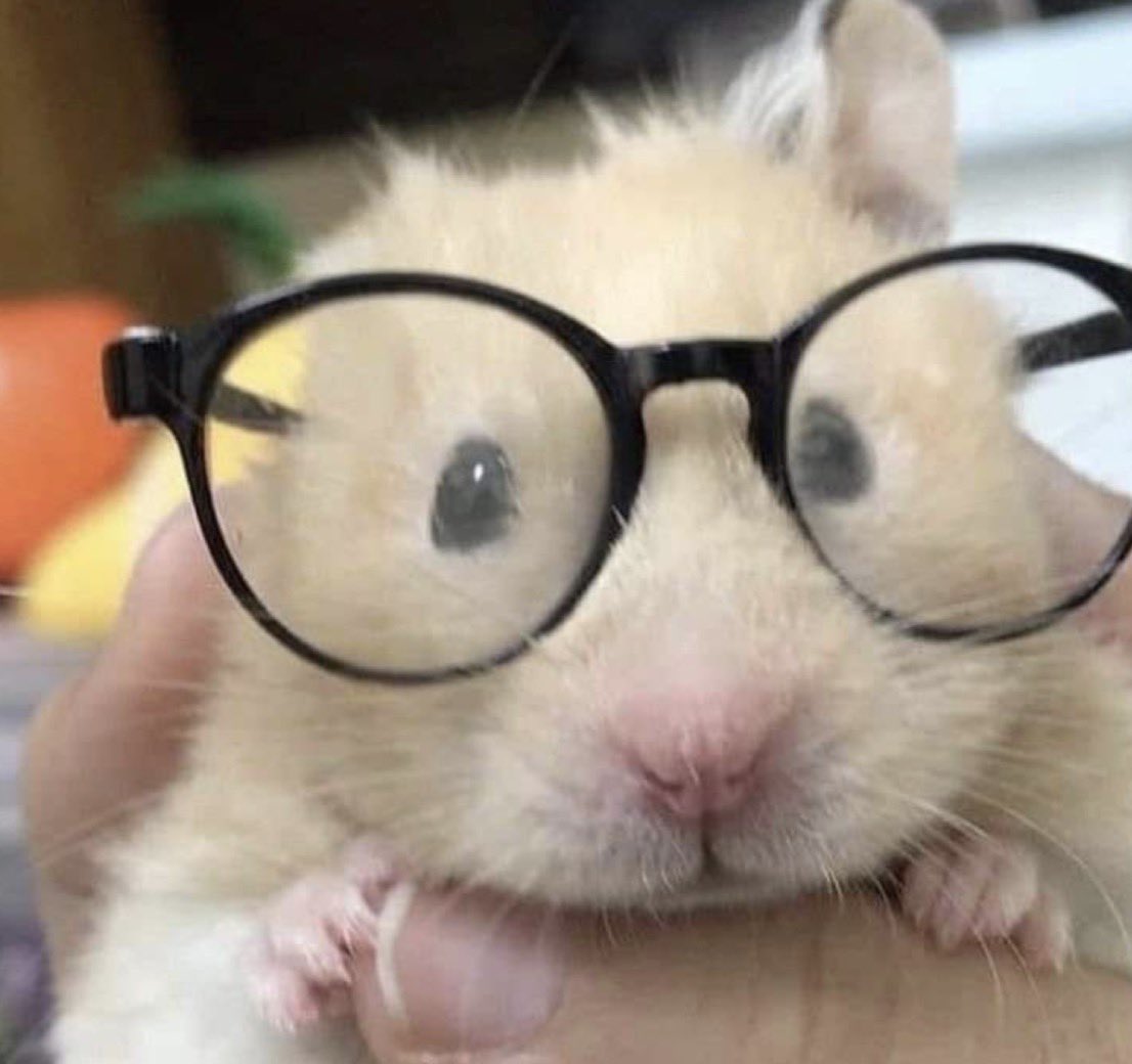 umm_hamster's tweet photo. https://t.co/SuXgHvBuD7