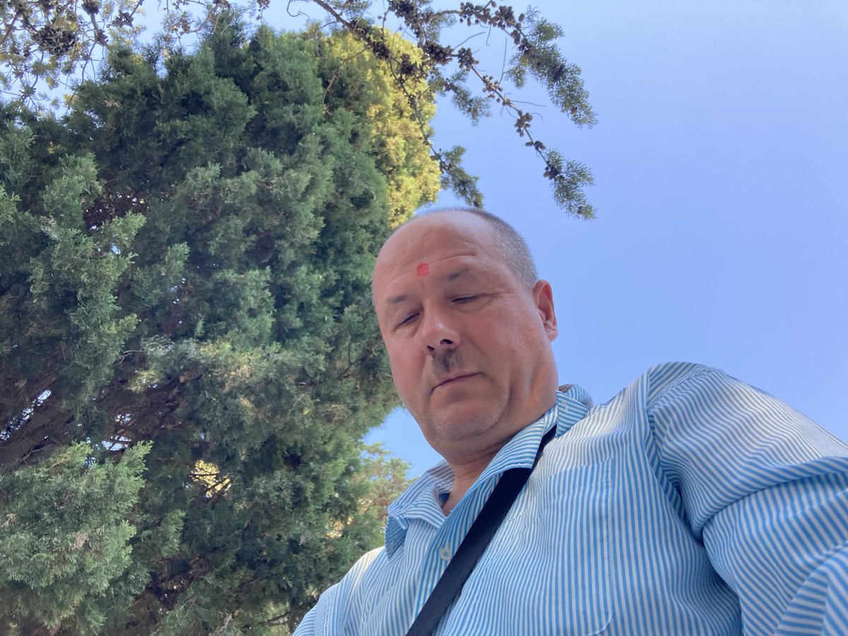 CastrovilliGius's tweet photo. https://t.co/9FD773VjYu