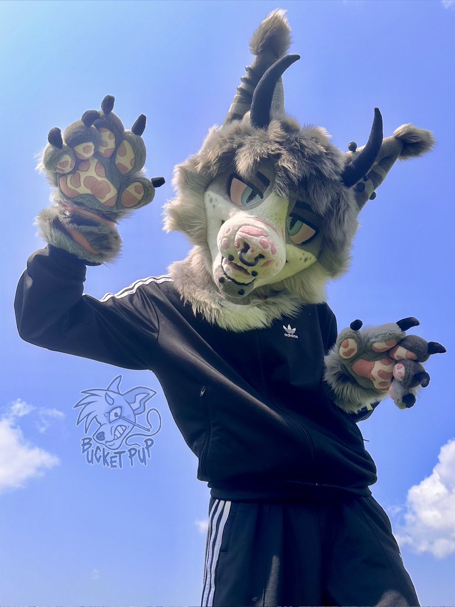 bucket_pup's tweet photo. ⚠️WARNING: this furry will out smoke you. https://t.co/u6K5gZ7RjV
