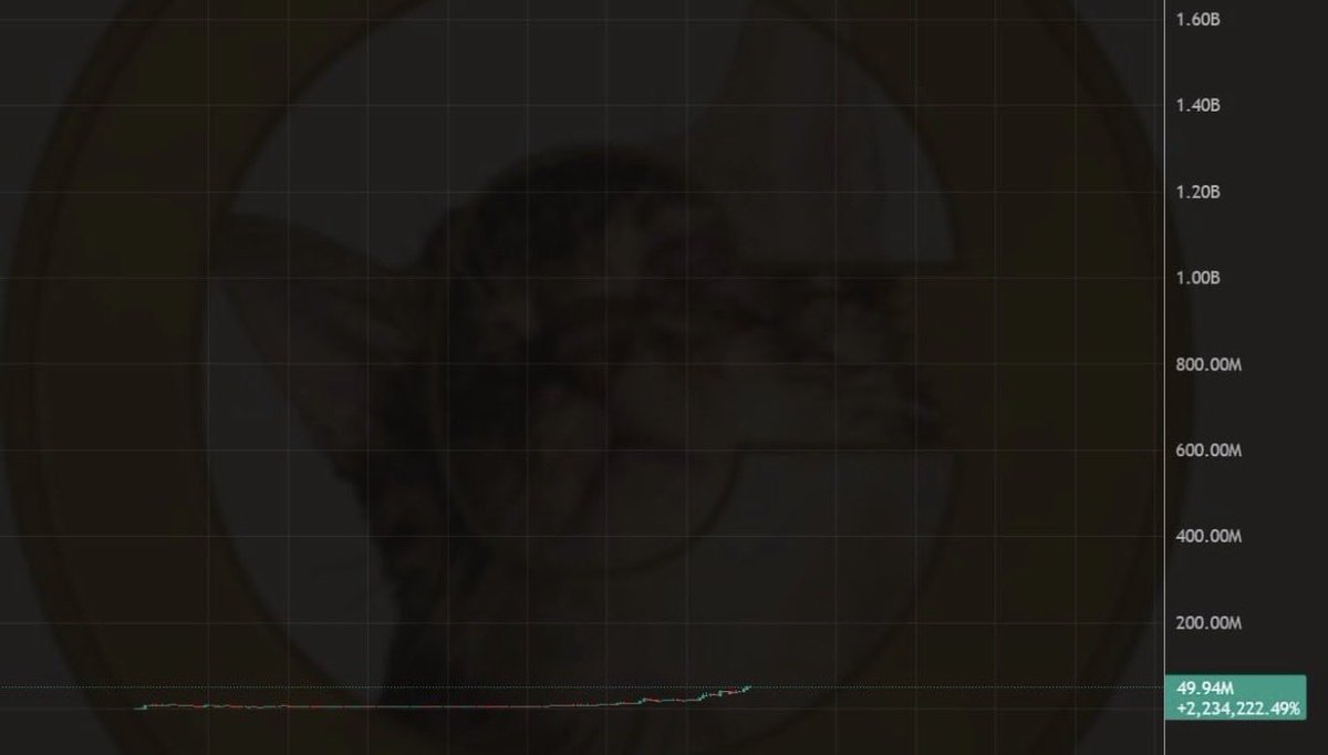 darkzy062's tweet photo. Zoom out 🔍
Raise your targets 🎯 
See the greater picture 📸 

believe. https://t.co/rr7LKOdVK5