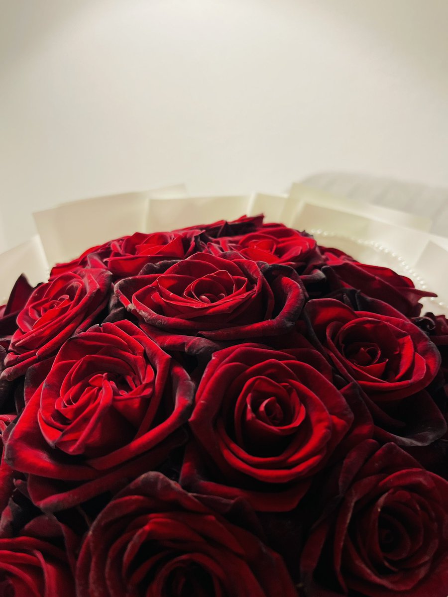 Ryano004's tweet photo. «كيف أصف لك حياتي؟ أقرأ كثيرًا، أُنصتُ إلى الموسيقى، وأحب القهوة، وأَفتَنْ بالزهور.» https://t.co/uUnZ75fDca