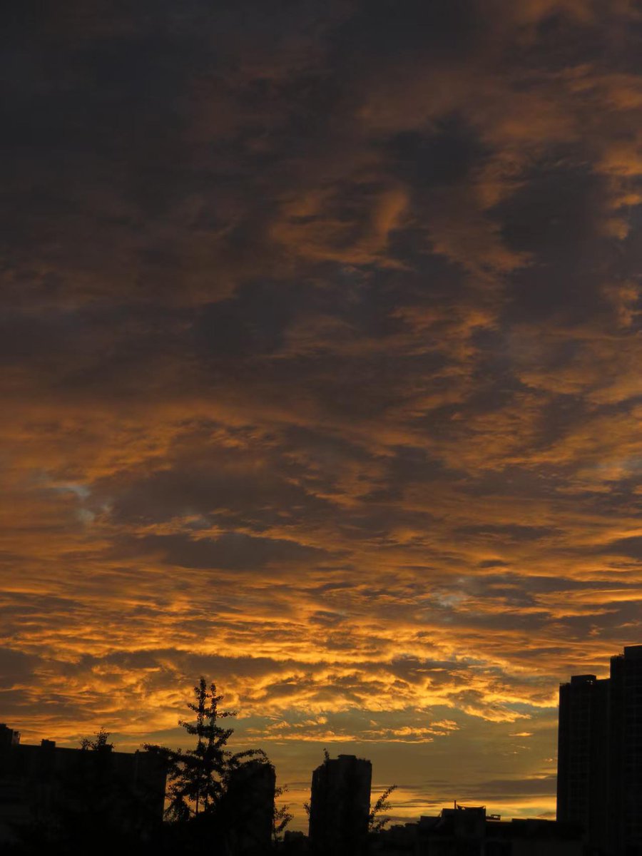 HongJia64353's tweet photo. Golden sky https://t.co/lckig7SZIX