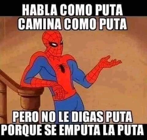molocheto's tweet photo. @GracePalomares Aparte de estar mas culera que pisar caca de perro con el pie descalzo... https://t.co/jeYdBgz3f4