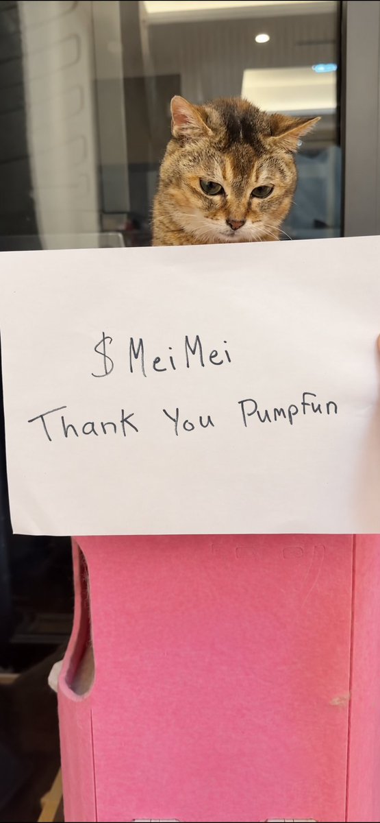 MeiMei tweet media