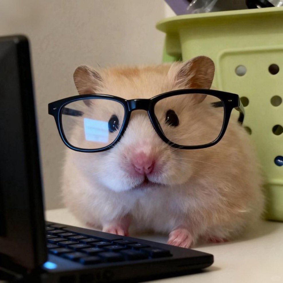 umm_hamster's tweet photo. https://t.co/wrWg9Kqiyj