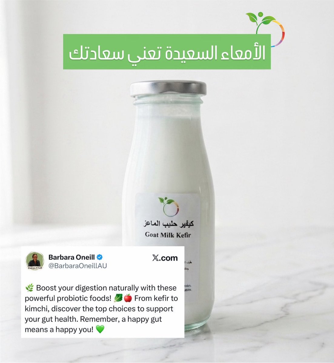 wheat_grass1's tweet photo. باربارا أونيل
@BarbaraOneillAU

عزّز هضمكِ طبيعياً بهذه الأطعمة البروبيوتيك القوية! من الكفير إلى الكيمتشي، اكتشف أفضل الخيارات لدعم صحة أمعائكِ. تذكّر، الأمعاء السعيدة تعني سعادتك! 

#ويت_غراس_كيفر 
#كيفر 
#كيفير 
#بكتيريا_نافعة_ويت_غراس 
#الكويت https://t.co/z3DBzpcA9T