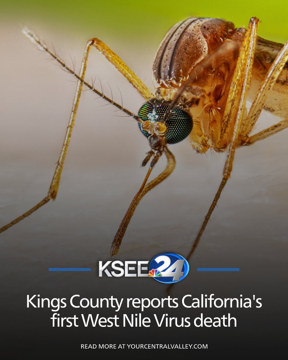 KSEE24's tweet photo. The first California death related to the West Nile Virus in 2026 was reported in Kings County, health officials announced on Monday.

More: https://t.co/YVxj58wlI6 https://t.co/qdfjgVodEs