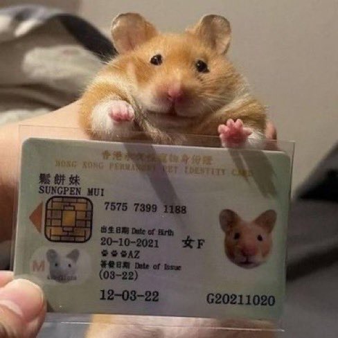 umm_hamster's tweet photo. https://t.co/hzE07eVde2