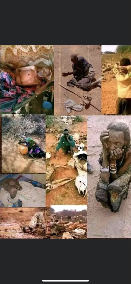 JarsoDaga's tweet photo. @UKinEthiopia @PMEthiopia @ETEmbassyLDN @MFAEthiopia @DarrenWelchFCDO @cop32ethiopia @UNFCCC #OROMIA😡😡 https://t.co/y4sIKyH6GJ