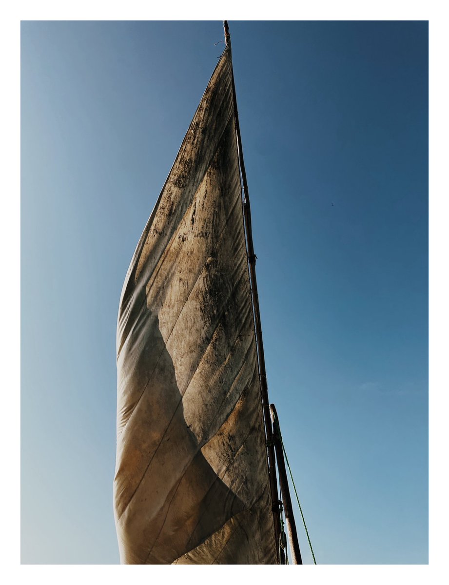 wokaen's tweet photo. The Odyssey // https://t.co/uYKOsvKkWm