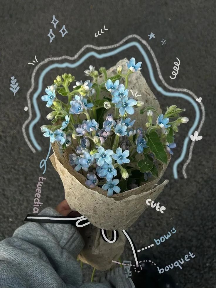 dreamyflowerrs's tweet photo. https://t.co/NK8C3e5EAs